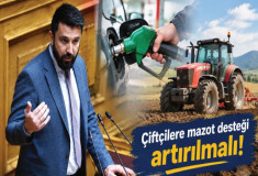 Özgür Ferhat, çiftçilere mazot desteğinin artırılmasını Meclis’e taşıdı