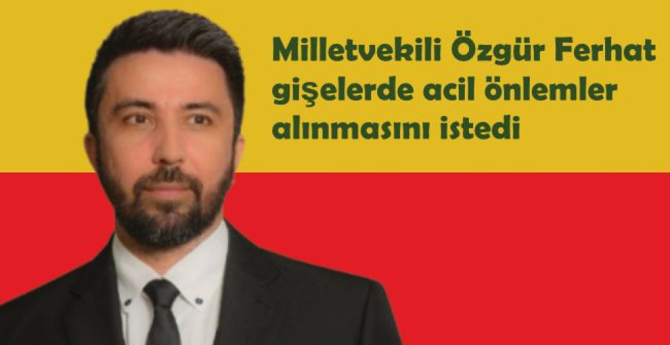 Milletvekili Özgür Ferhat gişelerde acil önlemler alınmasını istedi