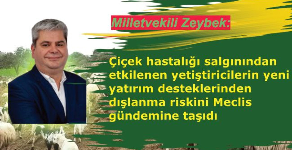 Milletvekili Zeybek, çiçek salgınından etkilenen yetiştiricilerin yeni yatırım desteklerinden dışlanma riskini Meclis gündemine taşıdı