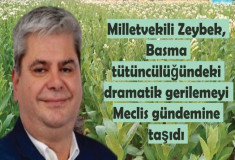 Milletvekili Zeybek, Basma tütüncülüğündeki dramatik gerilemeyi Meclis gündemine taşıdı