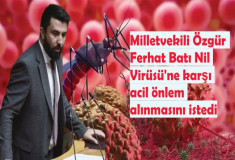 Milletvekili Özgür Ferhat Batı Nil Virüsü'ne karşı önlem alınmasını istedi 