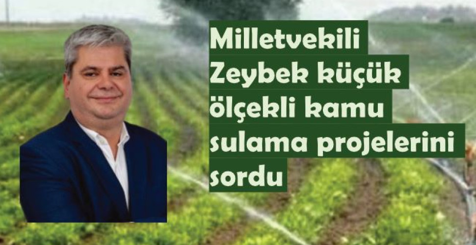 Milletvekili Zeybek kamu sulama projelerini sordu